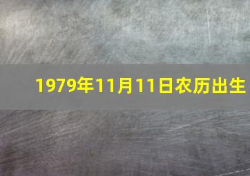 1979年11月11日农历出生