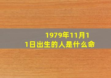 1979年11月11日出生的人是什么命