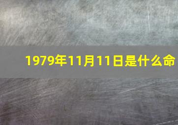 1979年11月11日是什么命