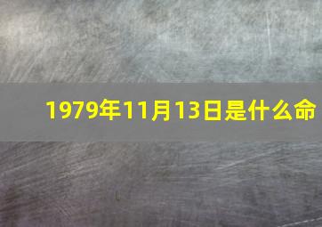 1979年11月13日是什么命