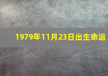 1979年11月23日出生命运