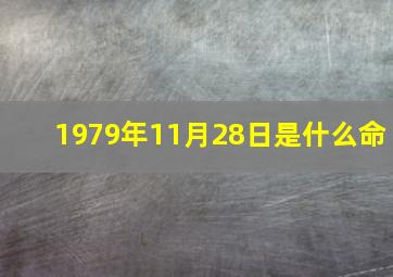 1979年11月28日是什么命