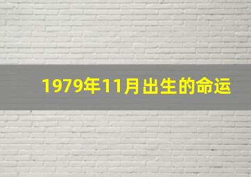 1979年11月出生的命运