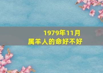 1979年11月属羊人的命好不好