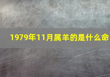 1979年11月属羊的是什么命