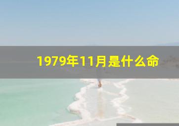 1979年11月是什么命