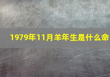 1979年11月羊年生是什么命