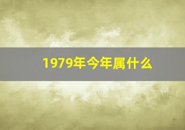 1979年今年属什么