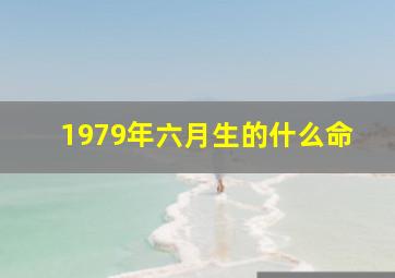 1979年六月生的什么命