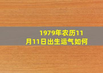 1979年农历11月11日出生运气如何