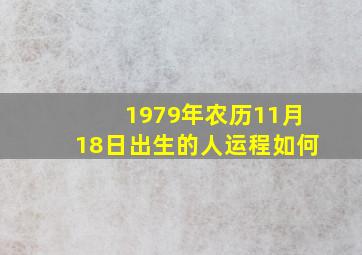 1979年农历11月18日出生的人运程如何