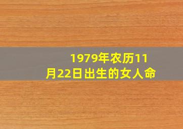 1979年农历11月22日出生的女人命