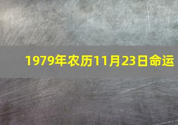 1979年农历11月23日命运