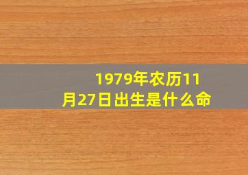 1979年农历11月27日出生是什么命