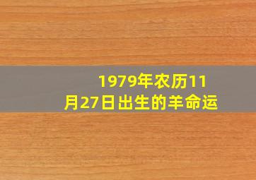 1979年农历11月27日出生的羊命运