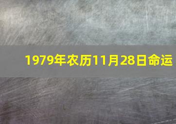 1979年农历11月28日命运