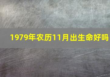 1979年农历11月出生命好吗