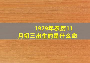 1979年农历11月初三出生的是什么命