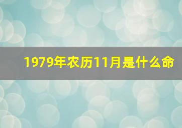 1979年农历11月是什么命