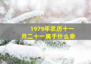 1979年农历十一月二十一属于什么命