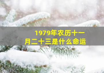 1979年农历十一月二十三是什么命运