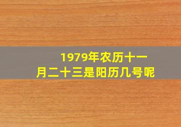 1979年农历十一月二十三是阳历几号呢