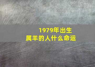 1979年出生属羊的人什么命运