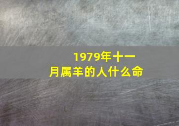 1979年十一月属羊的人什么命