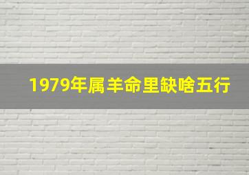 1979年属羊命里缺啥五行