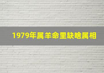 1979年属羊命里缺啥属相