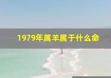 1979年属羊属于什么命