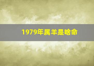 1979年属羊是啥命