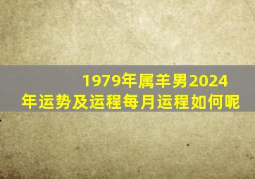 1979年属羊男2024年运势及运程每月运程如何呢