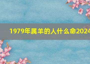 1979年属羊的人什么命2024