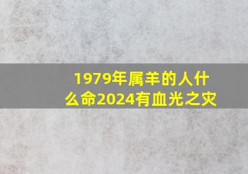 1979年属羊的人什么命2024有血光之灾