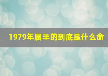 1979年属羊的到底是什么命