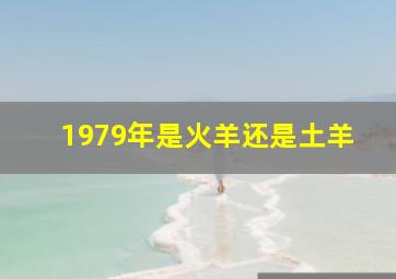 1979年是火羊还是土羊