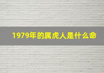 1979年的属虎人是什么命