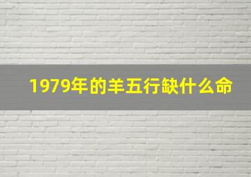 1979年的羊五行缺什么命