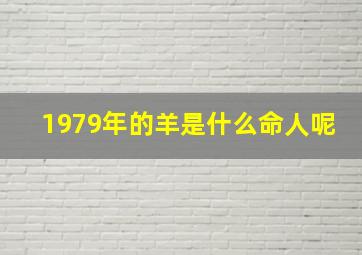 1979年的羊是什么命人呢