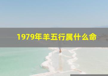 1979年羊五行属什么命