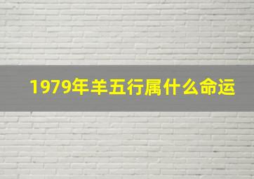 1979年羊五行属什么命运