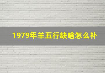 1979年羊五行缺啥怎么补