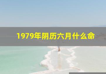 1979年阴历六月什么命