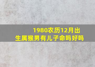 1980农历12月出生属猴男有儿子命吗好吗