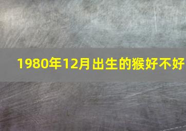 1980年12月出生的猴好不好