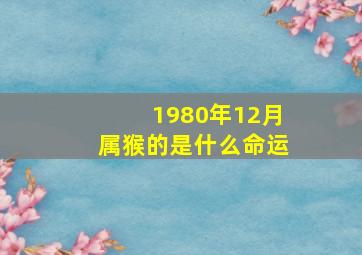 1980年12月属猴的是什么命运