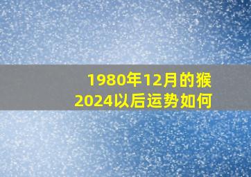 1980年12月的猴2024以后运势如何