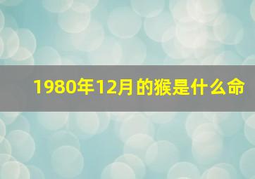 1980年12月的猴是什么命