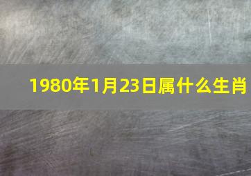 1980年1月23日属什么生肖